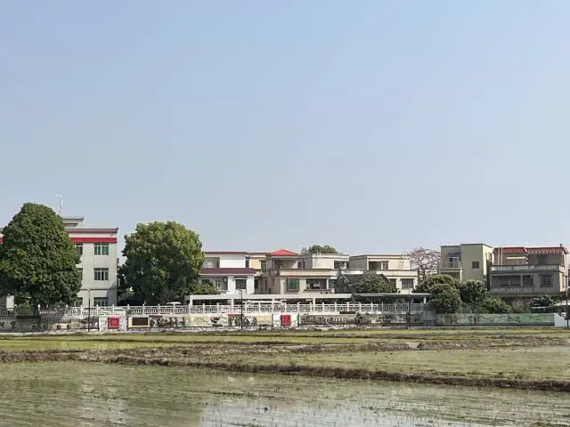 中山市南朗街道崖口村风貌。 《南方》杂志记者 许俊仟 摄